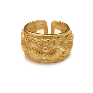 Anillo Oaxaca - Oro